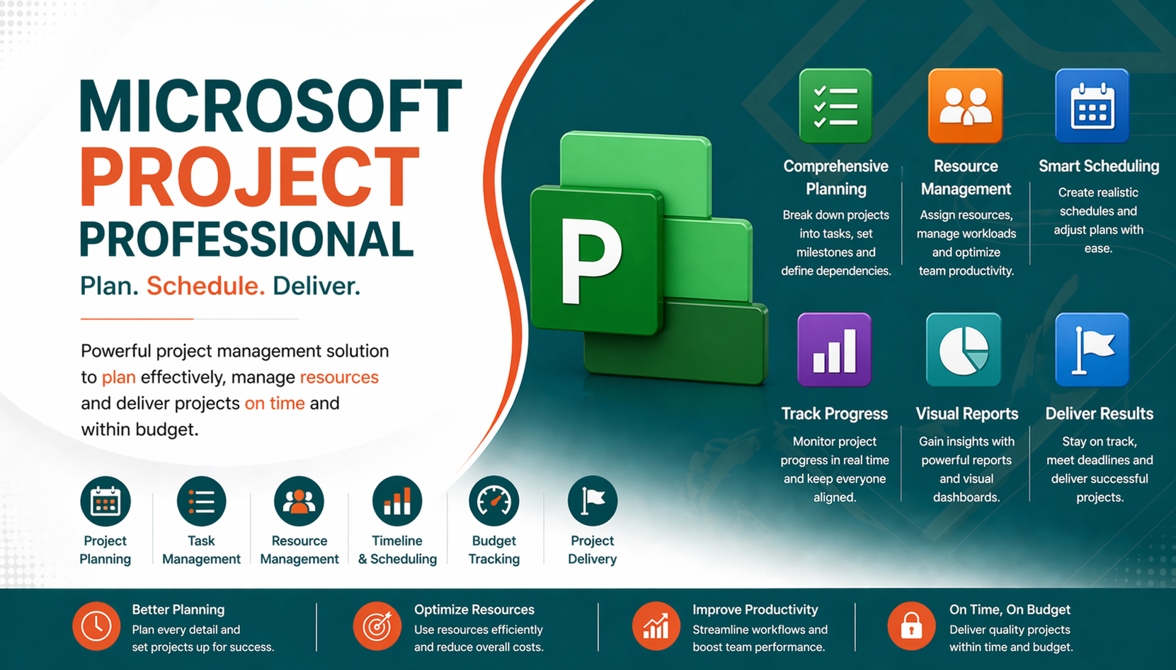 Microsoft Project Professional